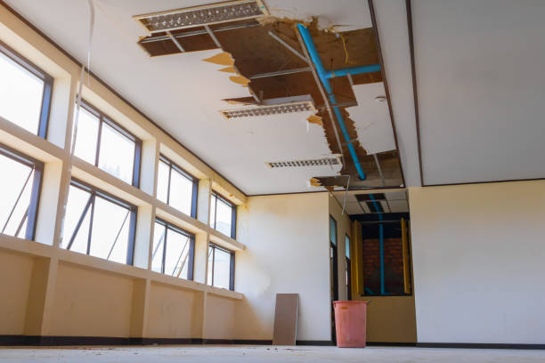 Best Water damage cleanup near me  in Bystrom, CA