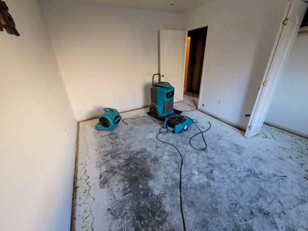  Bystrom, CA Water damage restoration Pros