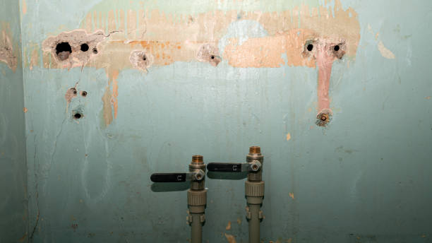 Best Fire Damage Restoration  in Bystrom, CA