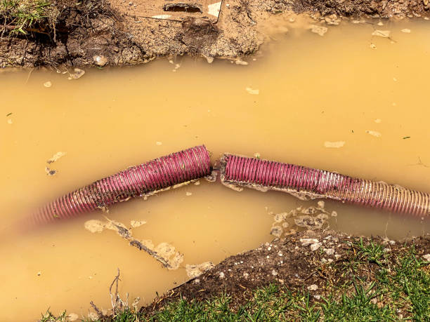 Best Basement water damage restoration  in Bystrom, CA